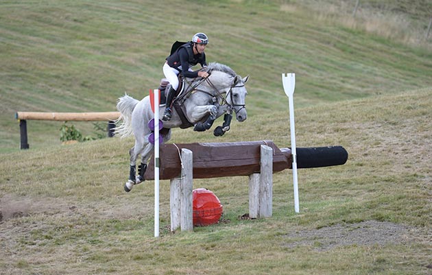 EquiRatings Stacks app game