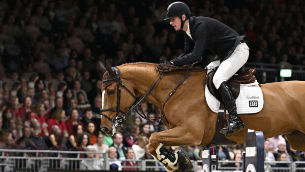 Jos Verlooy and Igor, who has been retired at the age of 16.