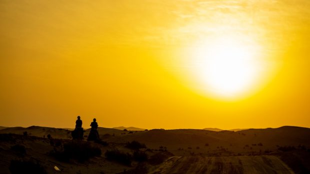 Endurance World Championships positive dope test