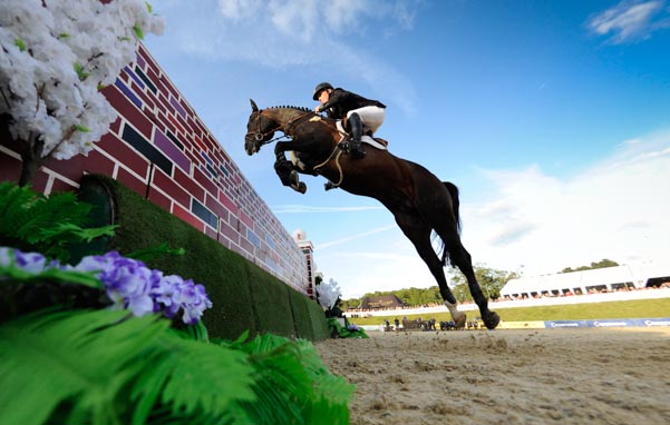 bolesworth puissance entries