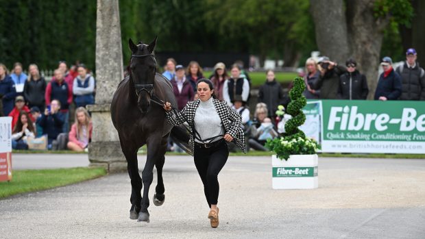 Bramham Horse Trials final trot-up – Aimee Penny and Freshman HH