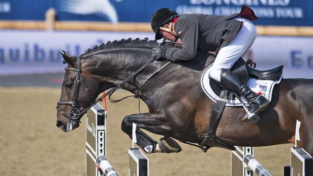 Argento, seen here jumping with John Whitaker, is a popular choice for those choosing a jumping stallion for their mare