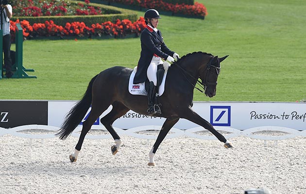 Atterupgaards Orthilia sold