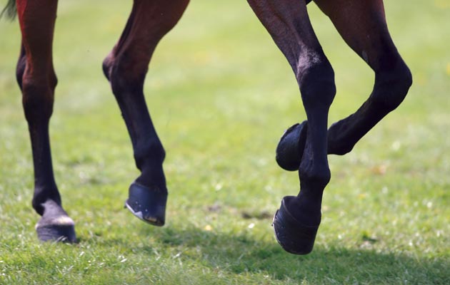 BE rule changes 2023