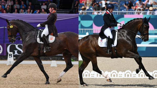 Becky Moody riding Jagerbomb at the Dressage Future Elite Championship at HOYS and at the Paris Olympics