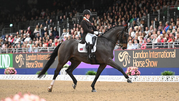 Becky Moody rides Jagerbomb in extended trot in front of a packed house at London International Horse Show.