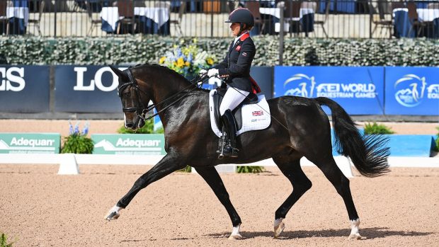 C Fatal Attraction and Sophie Wells at the 2018 World Equestrian Games