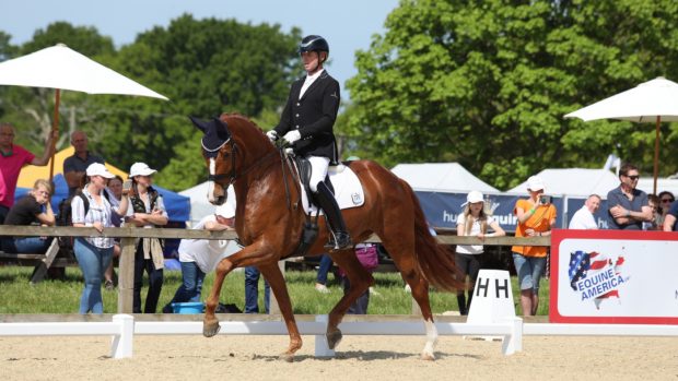 British Olympic dressage rider Carl Hester pictured on six-year-old mare Quinn G at Hickstead.