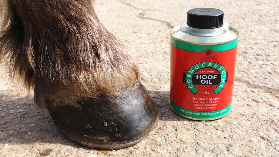 Carr & Day & Martin Cornucrescine tea tree hoof oil dried
