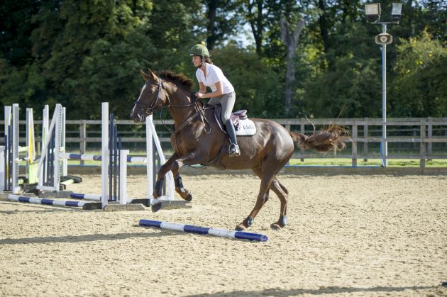 Polework exercises for horses