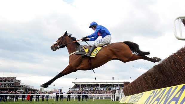 cue card jumps the last on his way to winning at cheltenham 14-3-13
