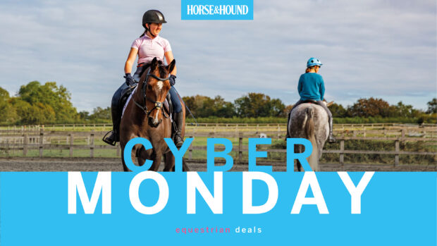 Cyber Monday Equestrian Deals graphic