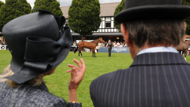 The view looking over judges’ shoulders during a hunter class at Dublin Horse Show.