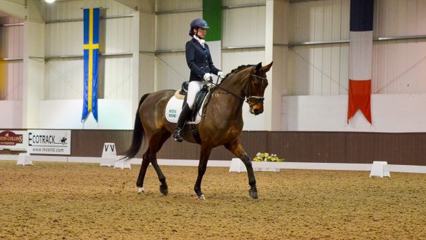 H&H DRESSAGE TRAINING EDRESSAGE NICOLA MCCLURE PRELIM VIDEOS