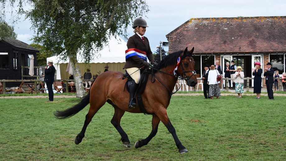 Connemara pony Laburnum Richard is 2023 RIHS supreme worker champion