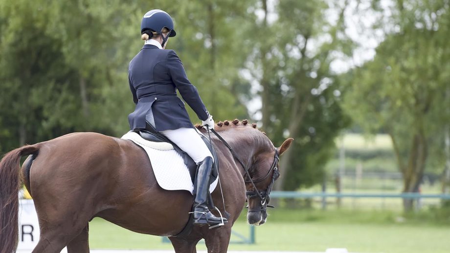 What to wear for dressage