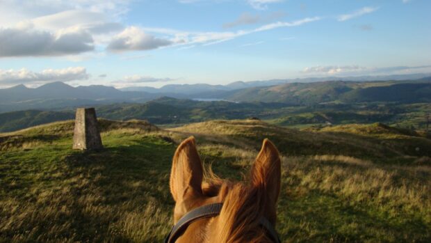 A pair of chestnut horse ears looking out over one of the UK’s scenic horse riding locations. There is mountainous heathland and a granite tor in the foreground.