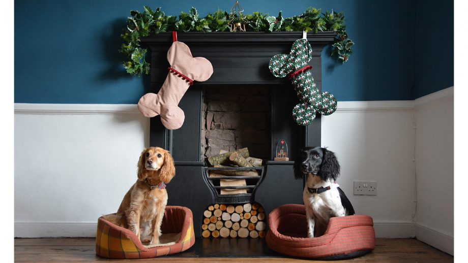 Dogs sitting at a festive fireplace surrounded by the Best Christmas gifts for dogs