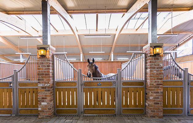 Deciding between the pros and cons of loose boxes or American barn stabling is key before you build