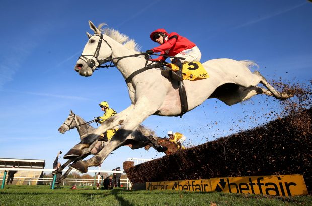 Grey Dawning, ridden by Harry Skelton, goes on to win The Betfair Exchange Graduation Chase at Haydock Park on Saturday 25 November, 2023.