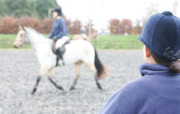 horse riding lesson at a riding school