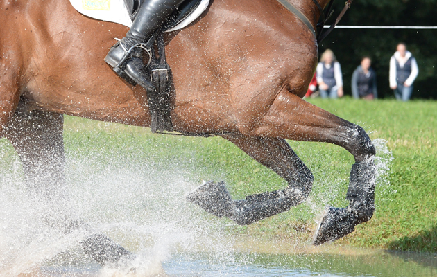 FEI 2018 eventing rule proposals