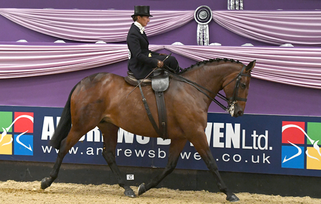 How to ride side-saddle Jayne Ross riding Time 2 Reflect to win the ladies side saddle championship at Horse of The Year Show 2018.