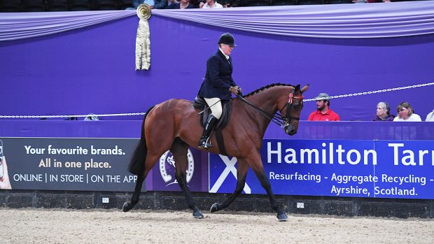 King Charles III’s show horses