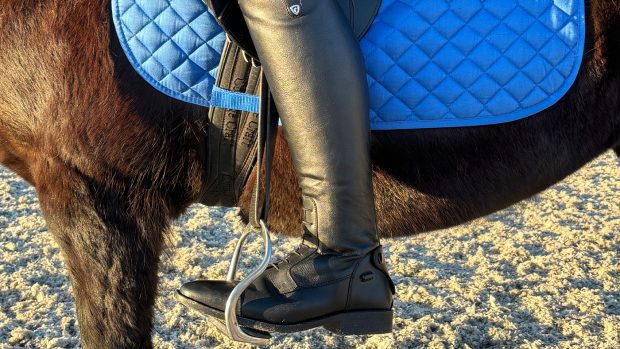 Hy Equestrian Sorrento Field Riding Boots