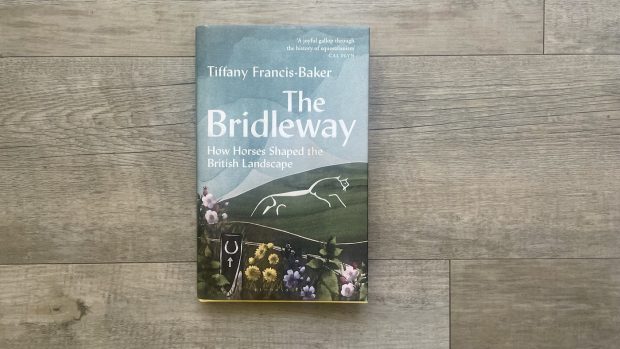 The Bridleway by Tiffany Francis-Baker