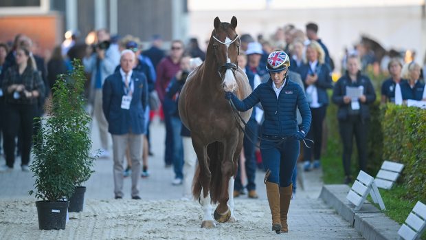 Charlotte Dujardin and Imhotep at the 2023 European Dressage Championships trot-up