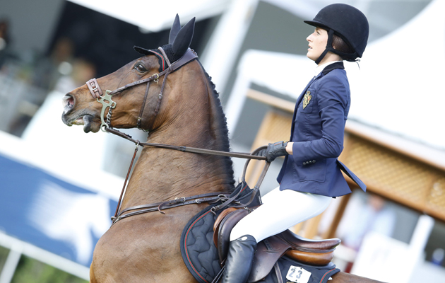 jessica springsteen