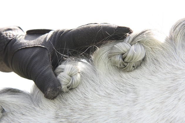 Katie Jerram Hunnable explains how to plait horses mane perfectly