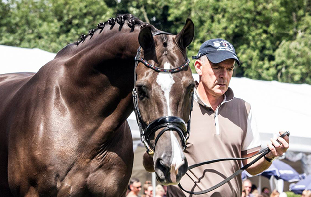 Alan Davies with Valegro