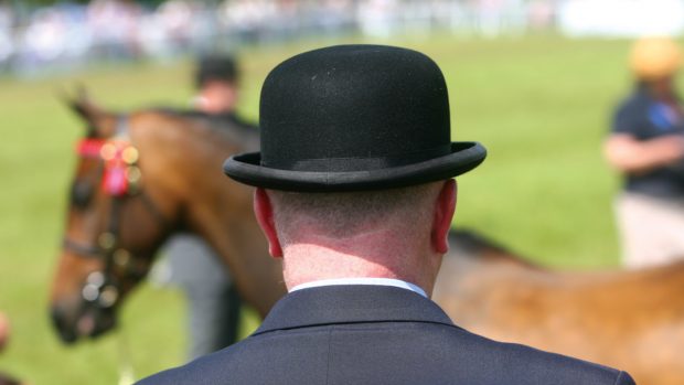 A showing judge wearing a bowler hat pictured from behind assessing a horse.