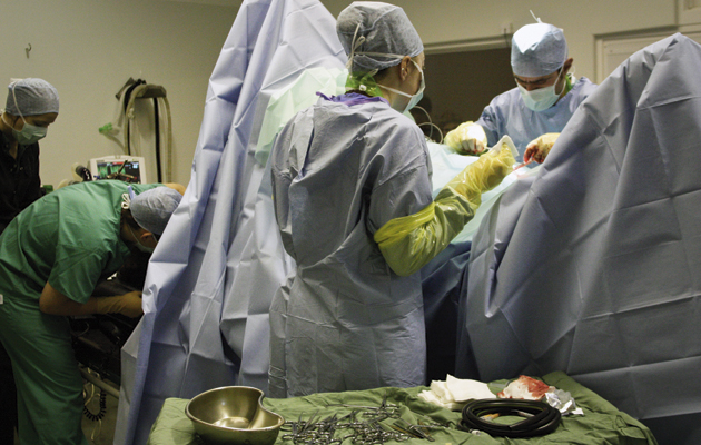 Equine vet stories Pedunculated lipoma is a common cause of colic surgery in horses