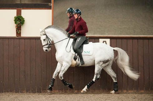 Michael Eilberg training Half Moon Delphi at home