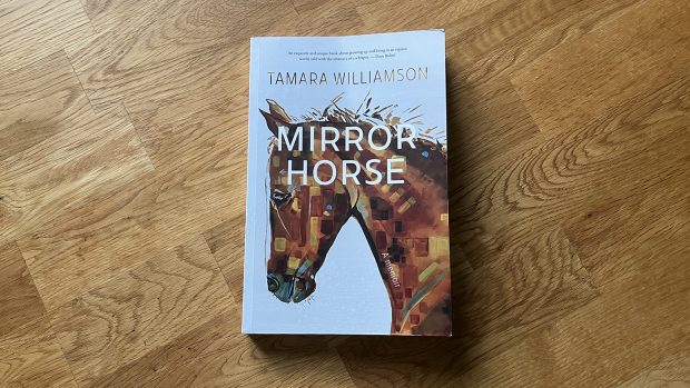 Mirror Horse book cover