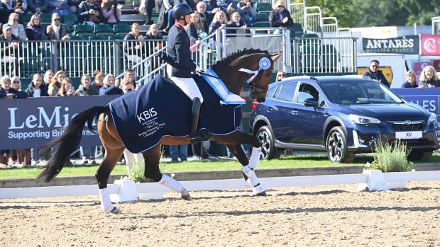 National Dressage Championships seven-year-old