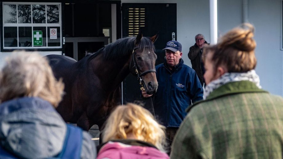 Behind The Scenes Newmarket Tour