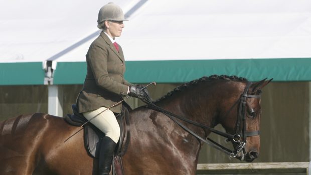 Katie Jerram: working a horse in an outline