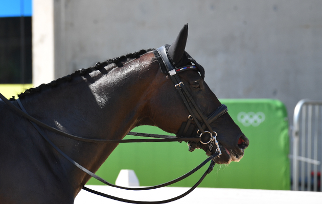 atterupgaards orthilia injured