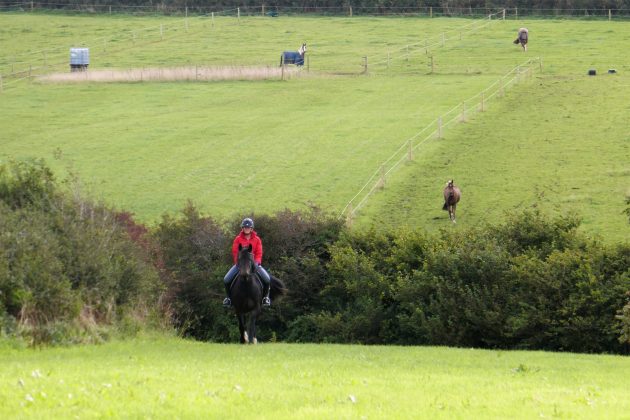 What to do with horse day before event