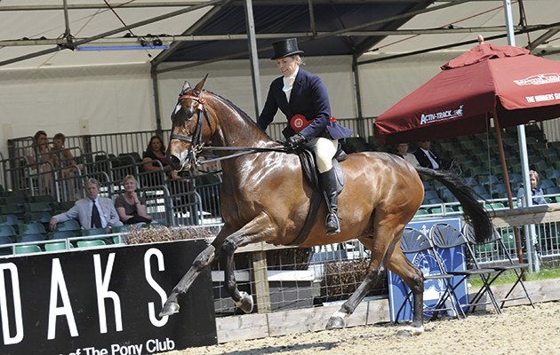 how to teach horse to gallop Petition and Katie Jerram, Riding Horse Championship