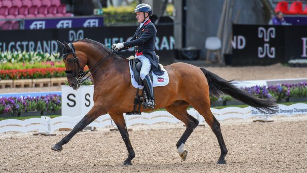 Richard Davison and Bubblingh sit sixth at this stage of the World Dressage Championships results