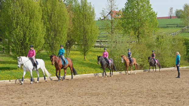 When learning to ride a horse, having lessons as a riding school is a good place to start