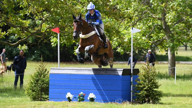 A bay horse jumps a bright blue cross-country box fence, ridden by a rider wearing blue cross-country colours.