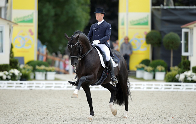 Totilas, pictured at European Dressage Championships, was one of the world’s most expensive horses