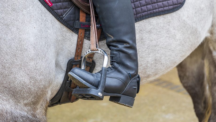 Sprenger Flexcite Grip stirrups review