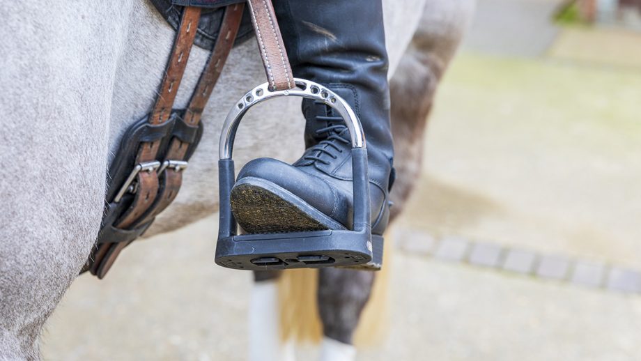 Sprenger Flexcite Grip stirrups review